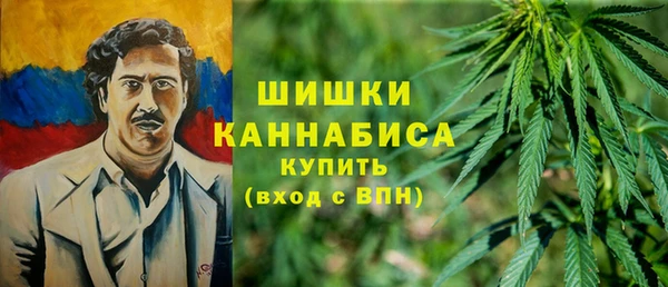 стаф Магадан