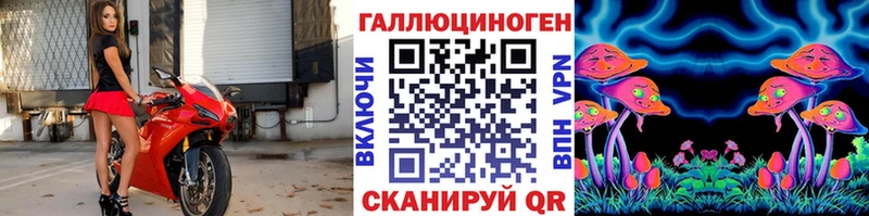 Псилоцибиновые грибы Psilocybe  Купить где  Нижние Серги 